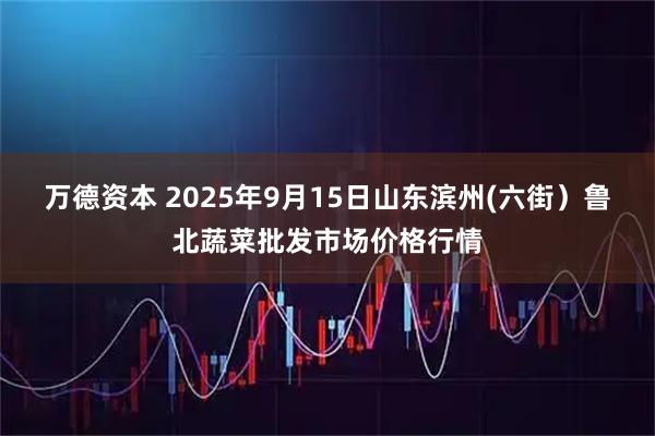万德资本 2025年9月15日山东滨州(六街）鲁北蔬菜批发市场价格行情