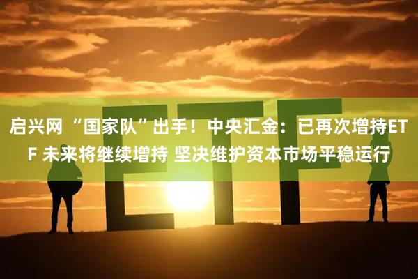 启兴网 “国家队”出手！中央汇金：已再次增持ETF 未来将继续增持 坚决维护资本市场平稳运行