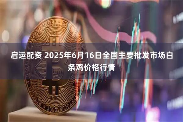 启运配资 2025年6月16日全国主要批发市场白条鸡价格行情