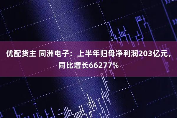 优配货主 同洲电子：上半年归母净利润203亿元，同比增长66277%